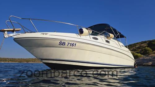 Sea Ray 240 DA ficha tecnica 